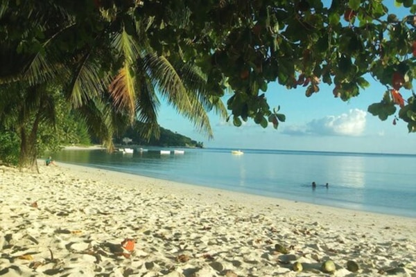On the beach, white sand, beach umbrellas, beach towels
