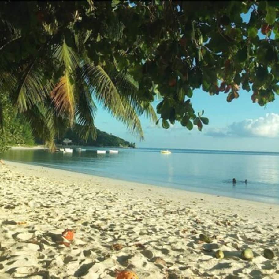 On the beach, white sand, beach umbrellas, beach towels