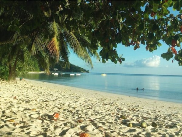On the beach, white sand, beach umbrellas, beach towels - Palm Beach Hotel (Praslin Island)