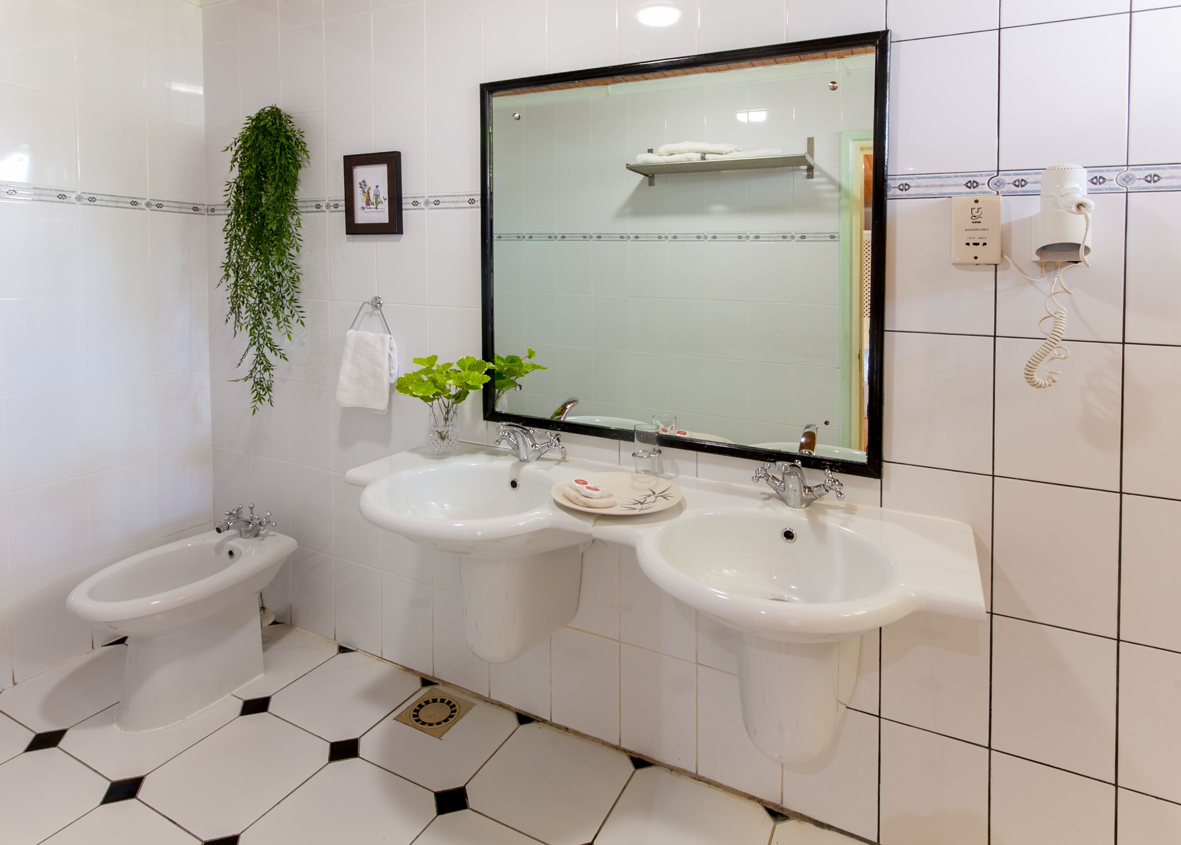 Secador de pelo, bidé y toallas