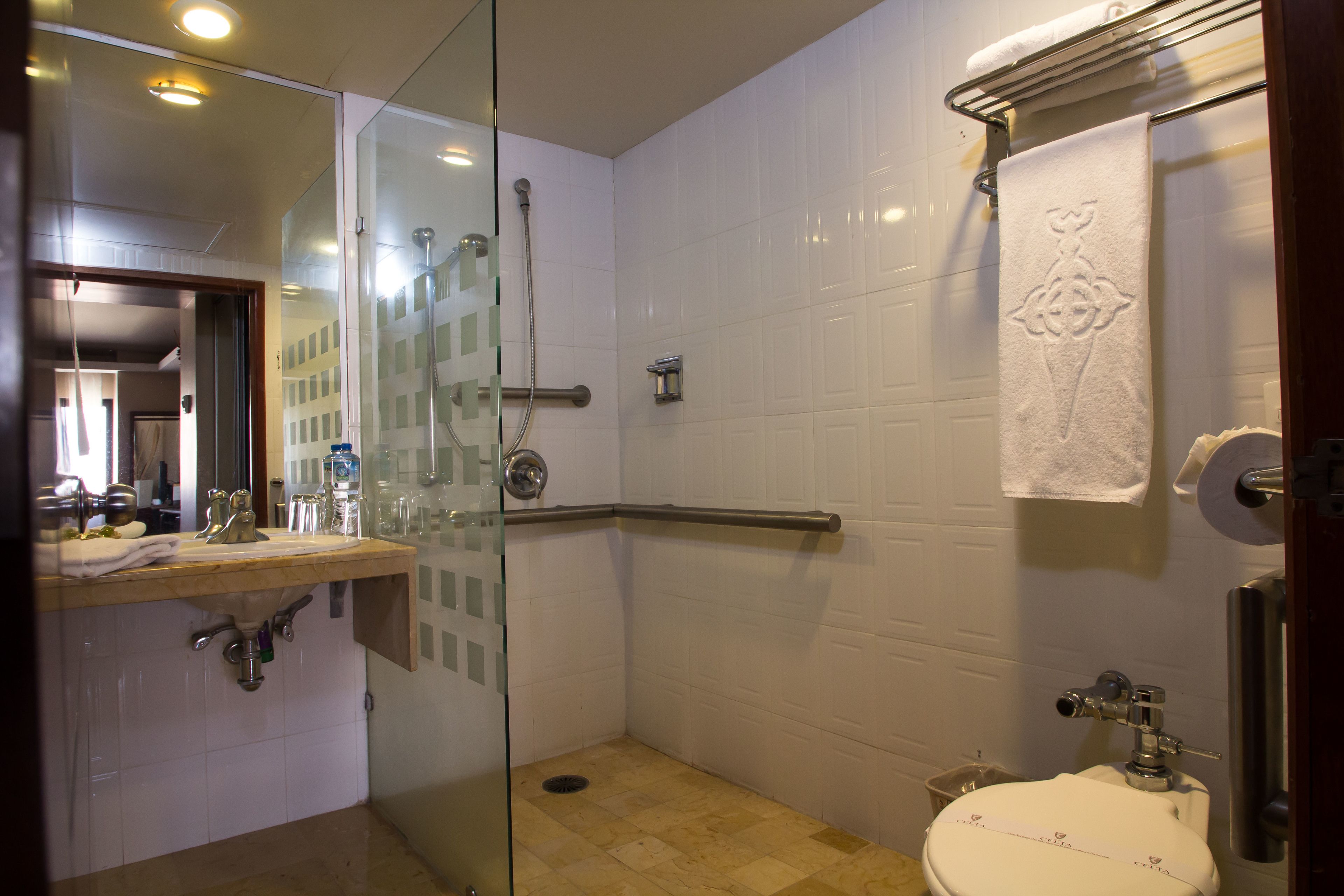 shower, free toiletries, hair dryer, towels