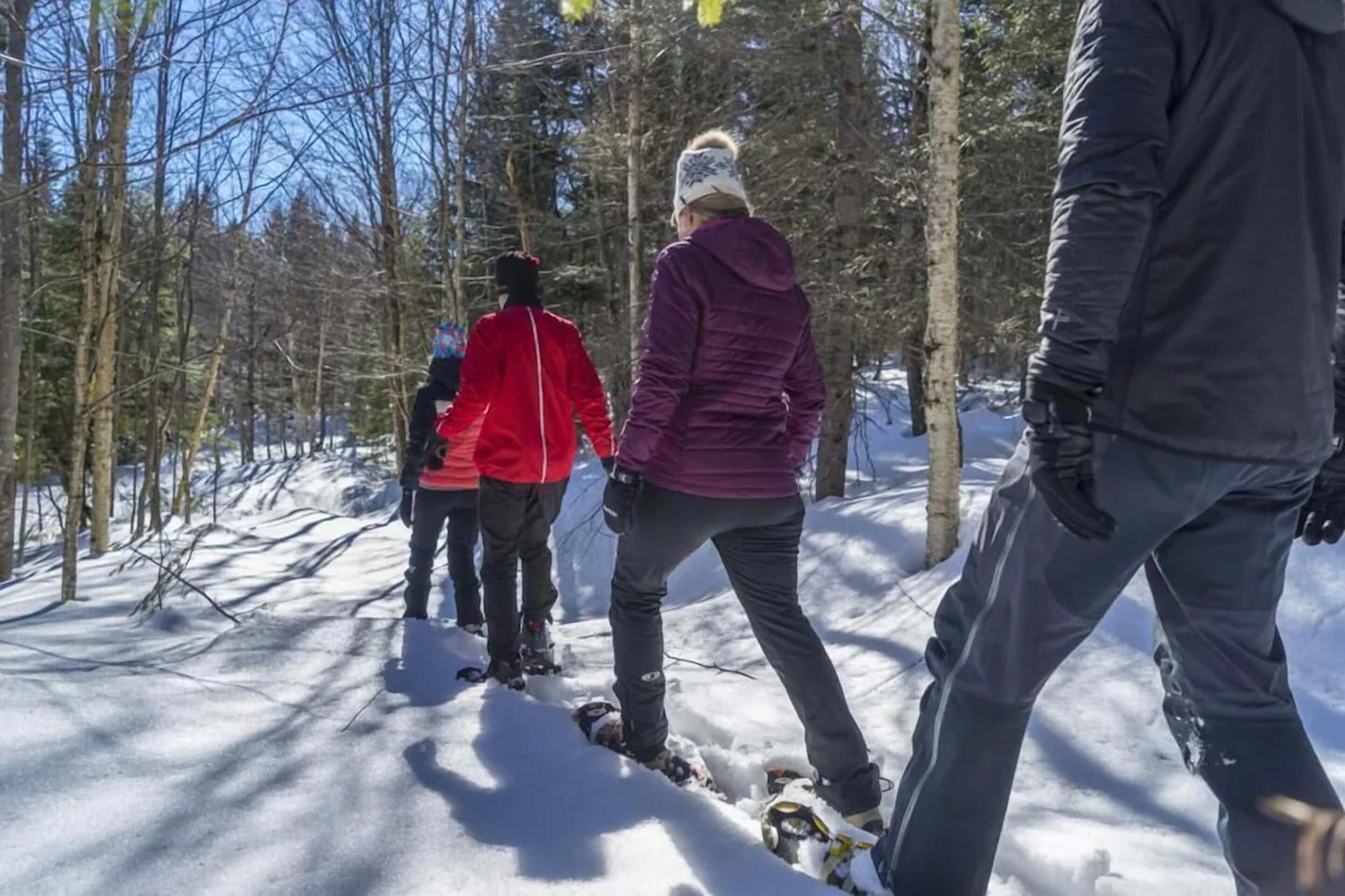 A snowy forest path with people walking.