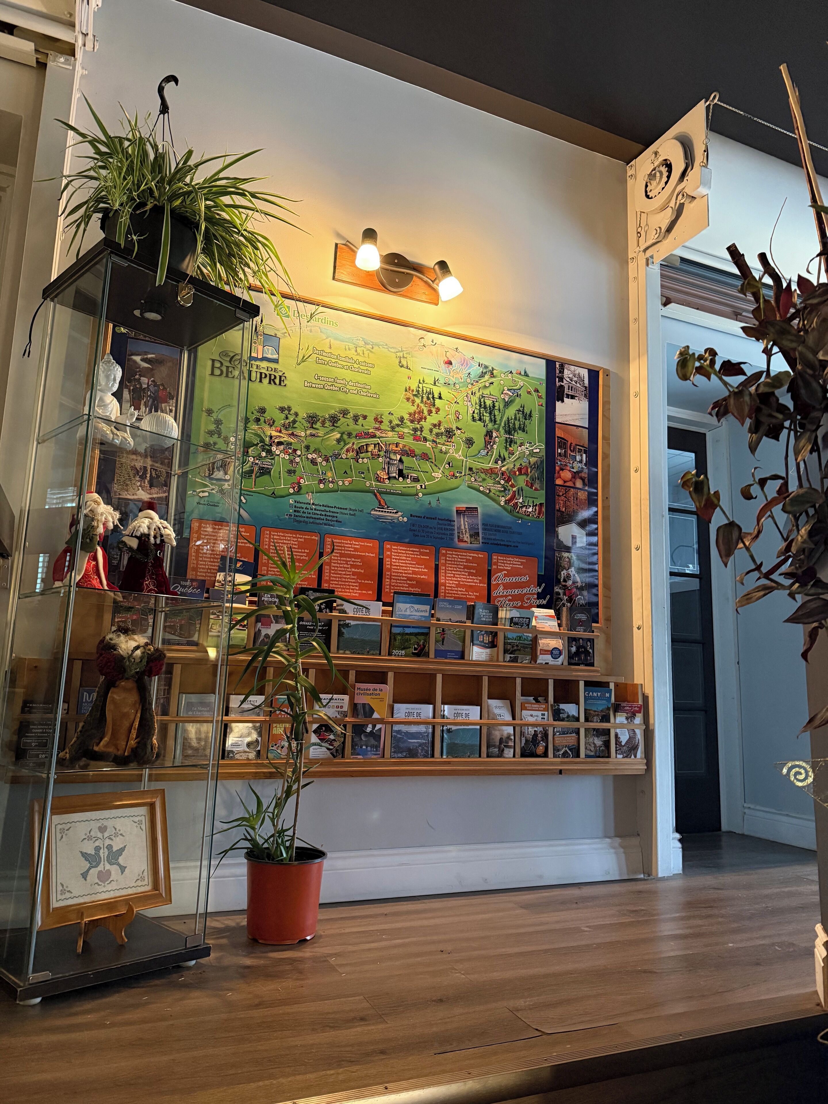 Una exhibición con un mapa, libros y una planta en maceta.