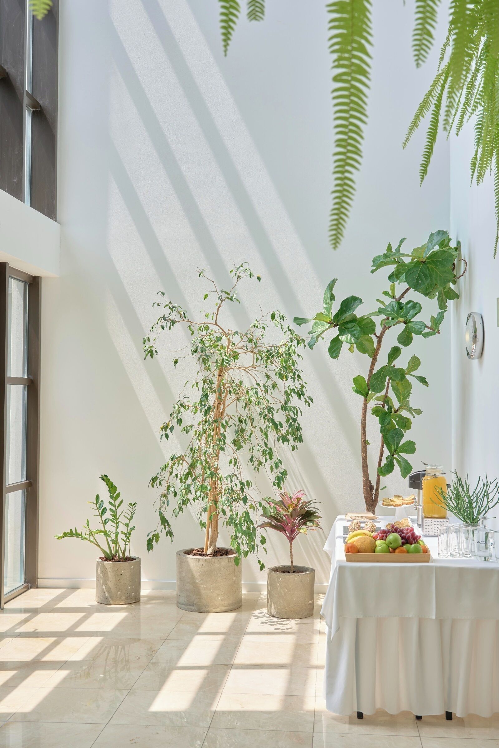 مرفق الاجتماعات