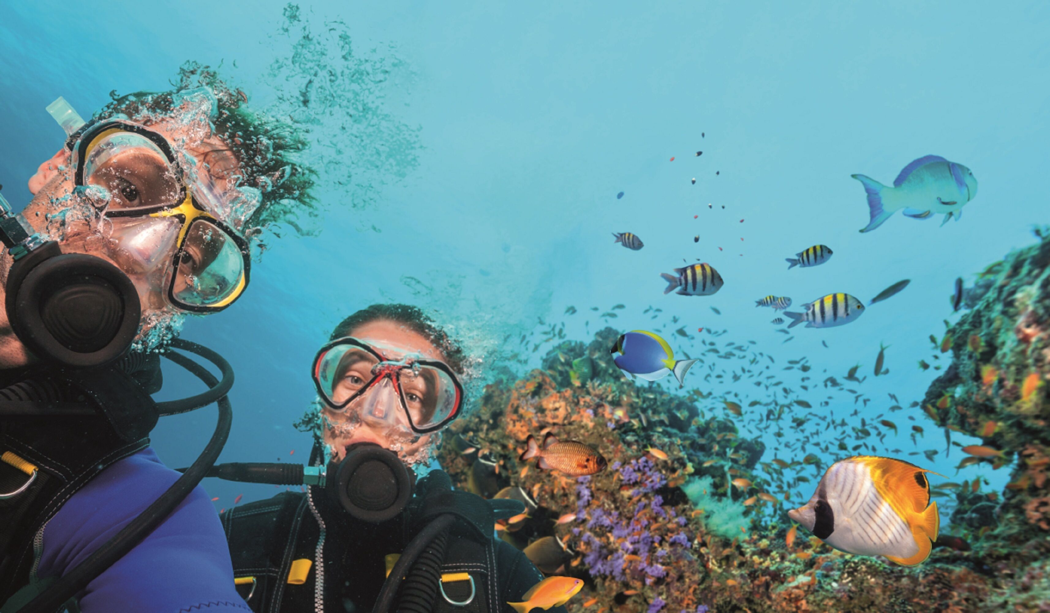 A diver with a scuba mask and snorkel, surrounded by various fish and coral reefs.