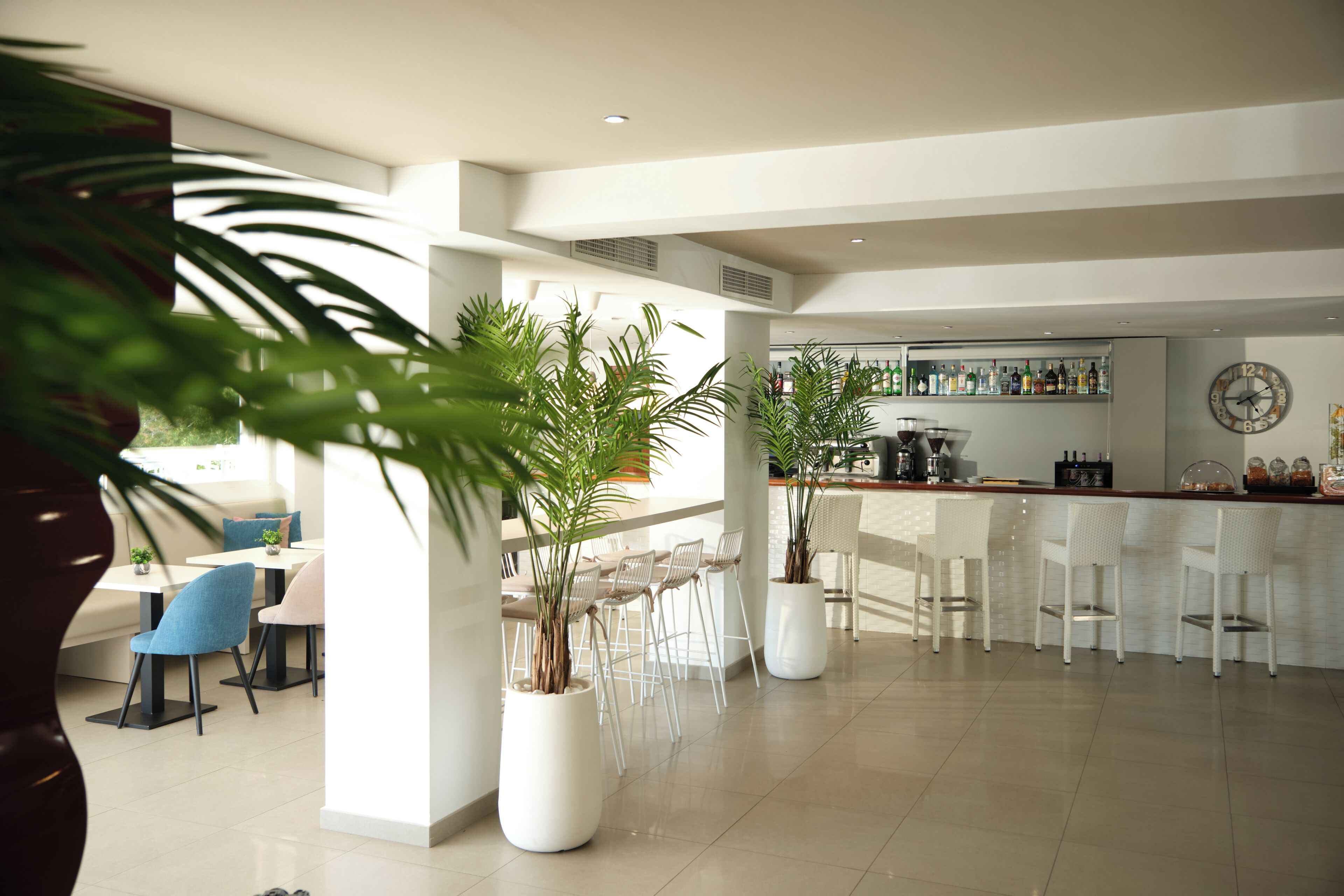 A modern kitchen with white bar stools, a bar area, and potted plants.