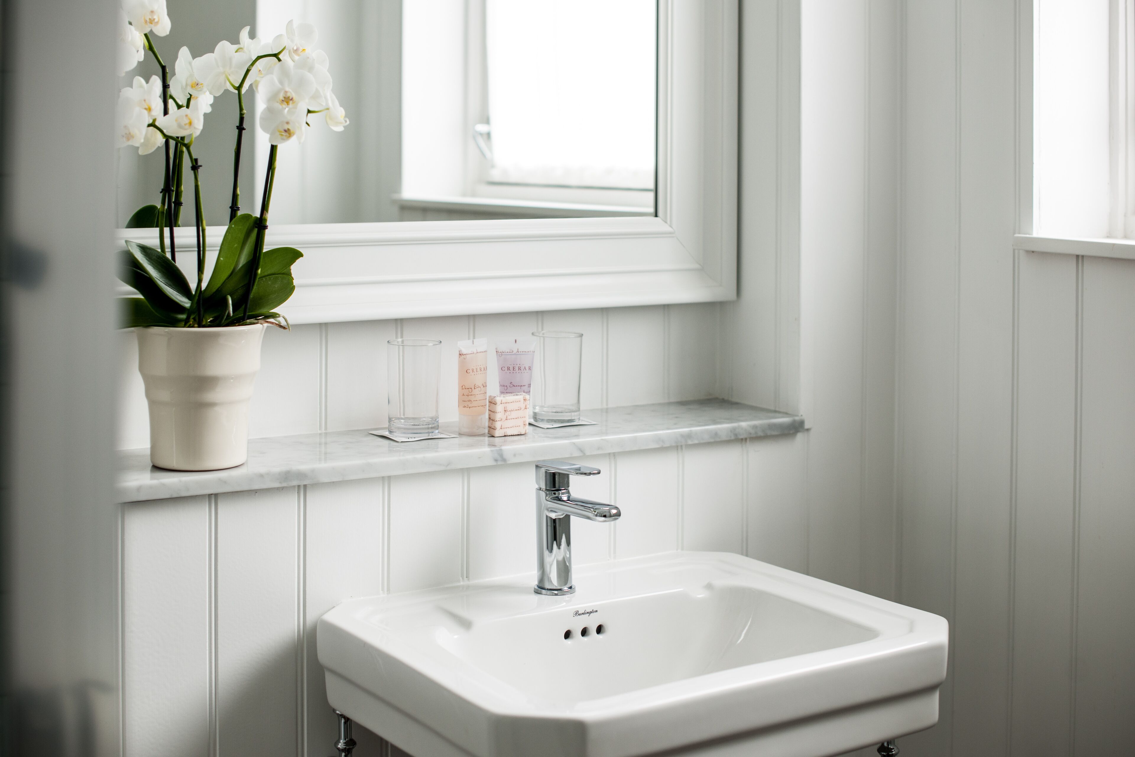 Une salle de bain avec un lavabo blanc, un miroir et une orchidée en pot.