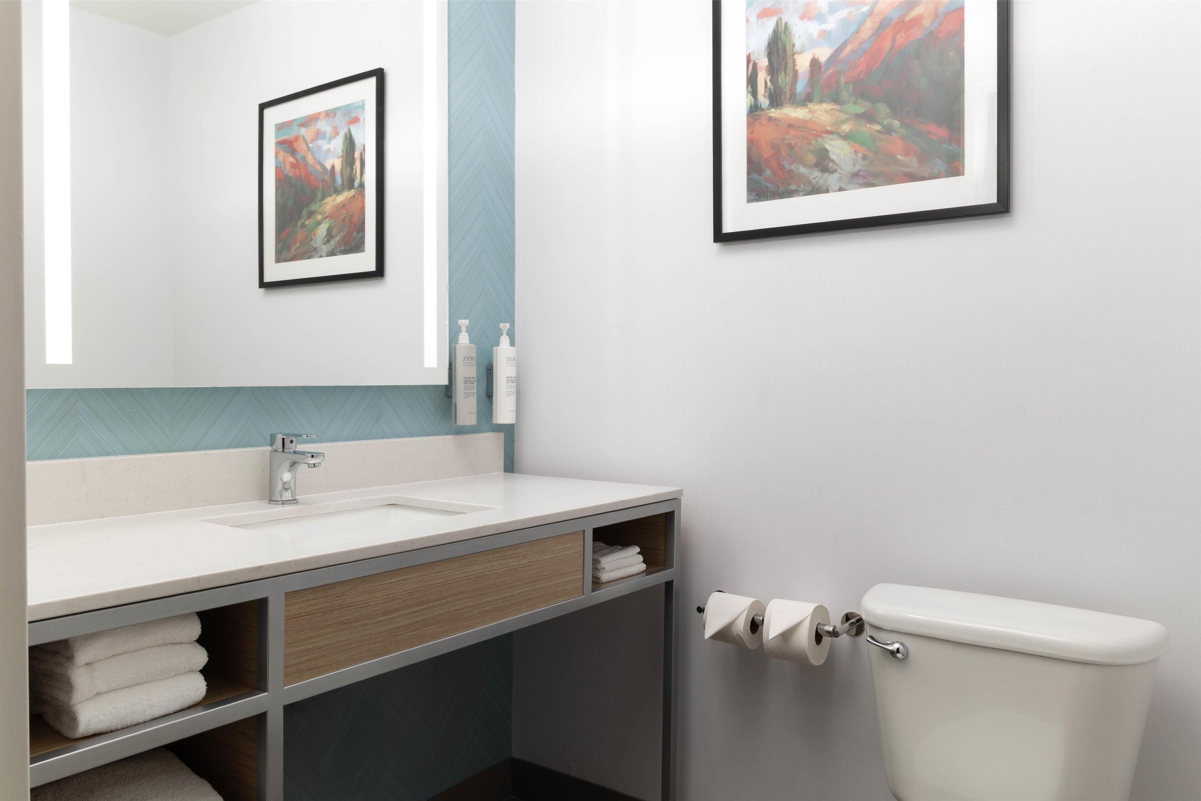 deluxe suite | bathroom | combined shower/bathtub, free toiletries, hair dryer, towels