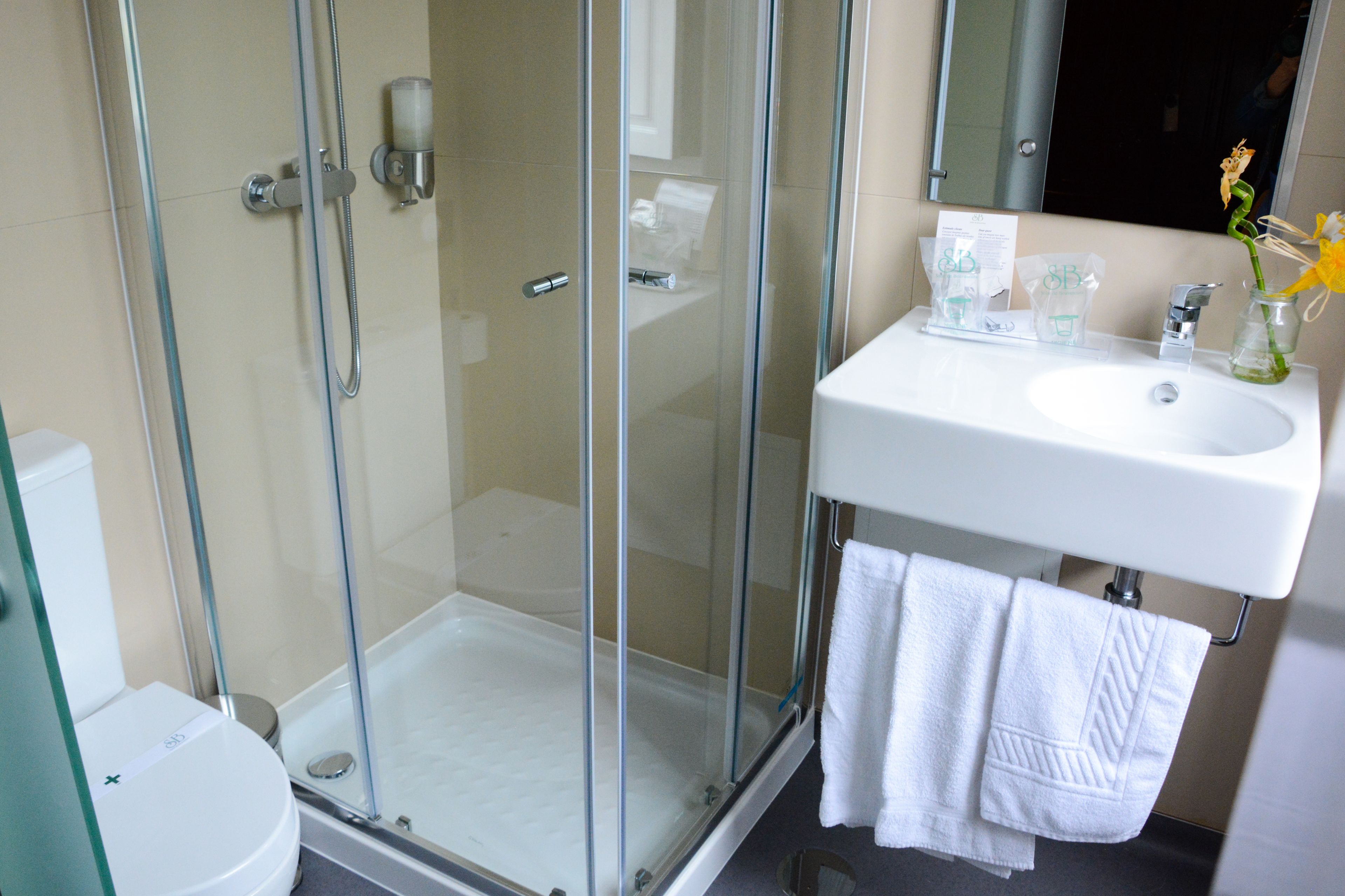 Une salle de bain moderne avec une douche à parois de verre, un lavabo blanc et un miroir au-dessus.