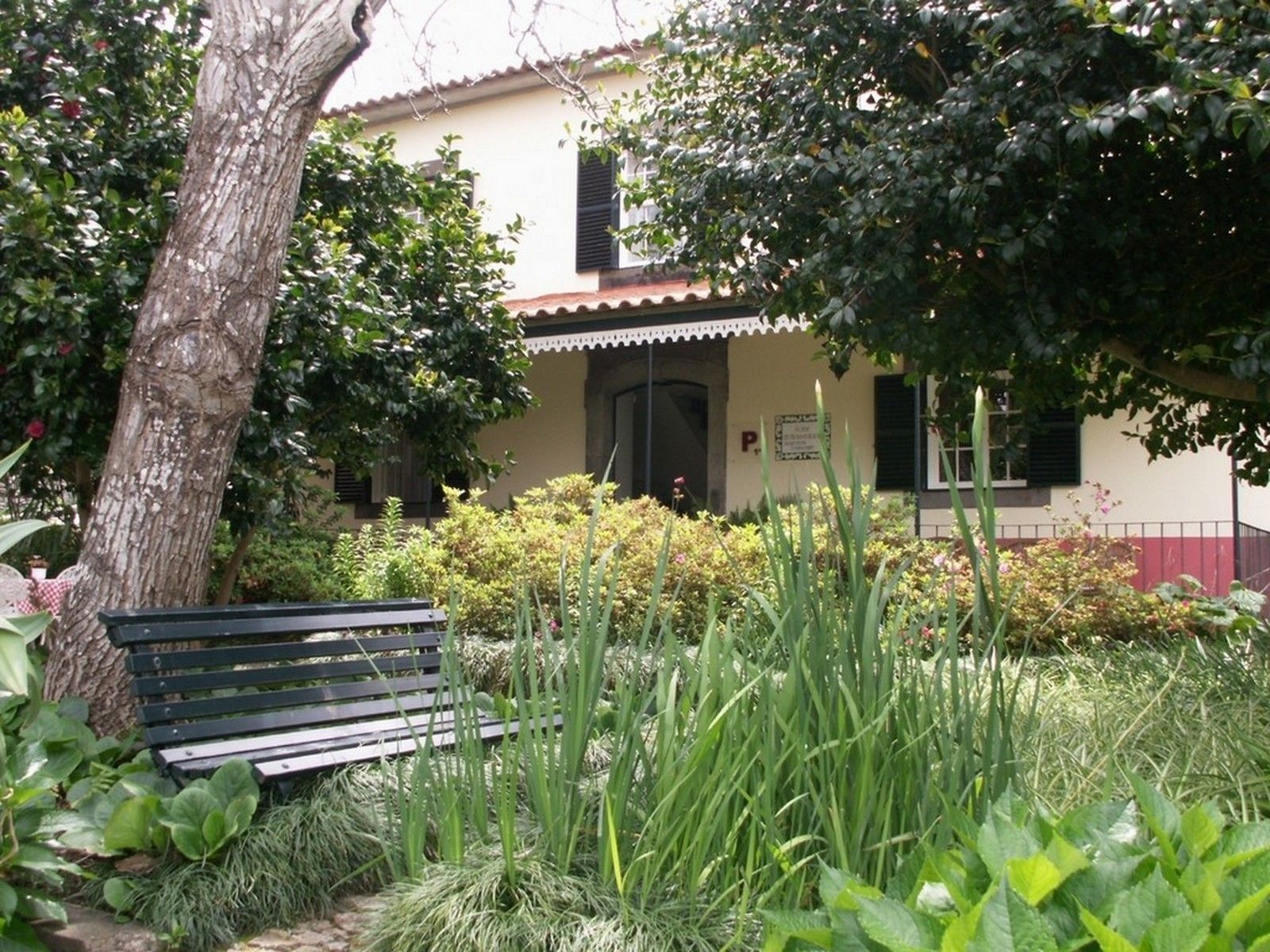 A building with a garden area, a bench, and a tree.