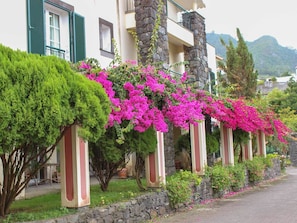 Un bâtiment à la façade en pierre, aux volets verts et aux lianes de bougainvilliers roses.
