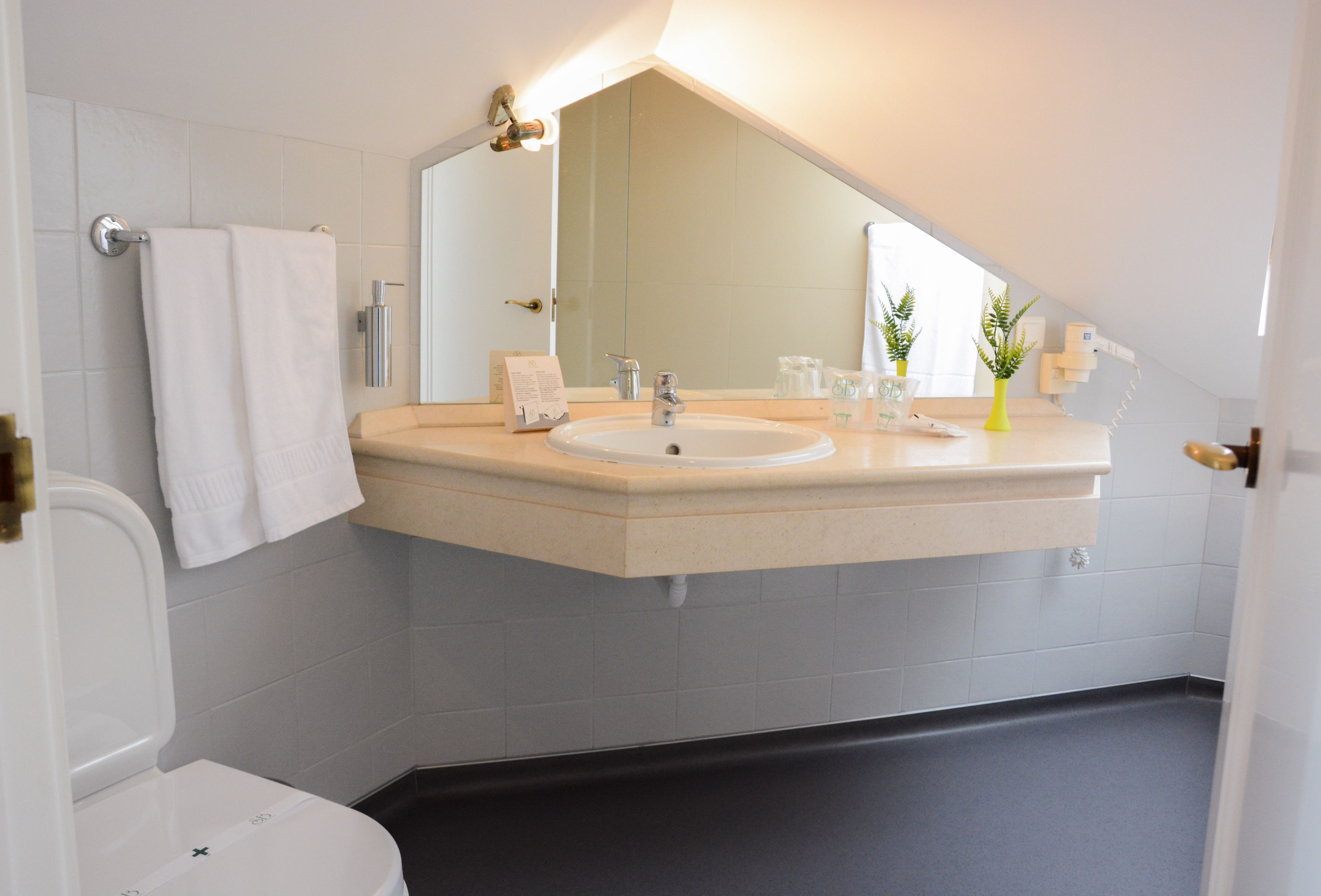 double or twin room | bathroom | shower, rainfall showerhead, free toiletries, hair dryer