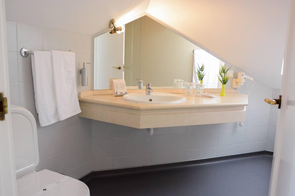 double or twin room | bathroom | shower, rainfall showerhead, free toiletries, hair dryer
