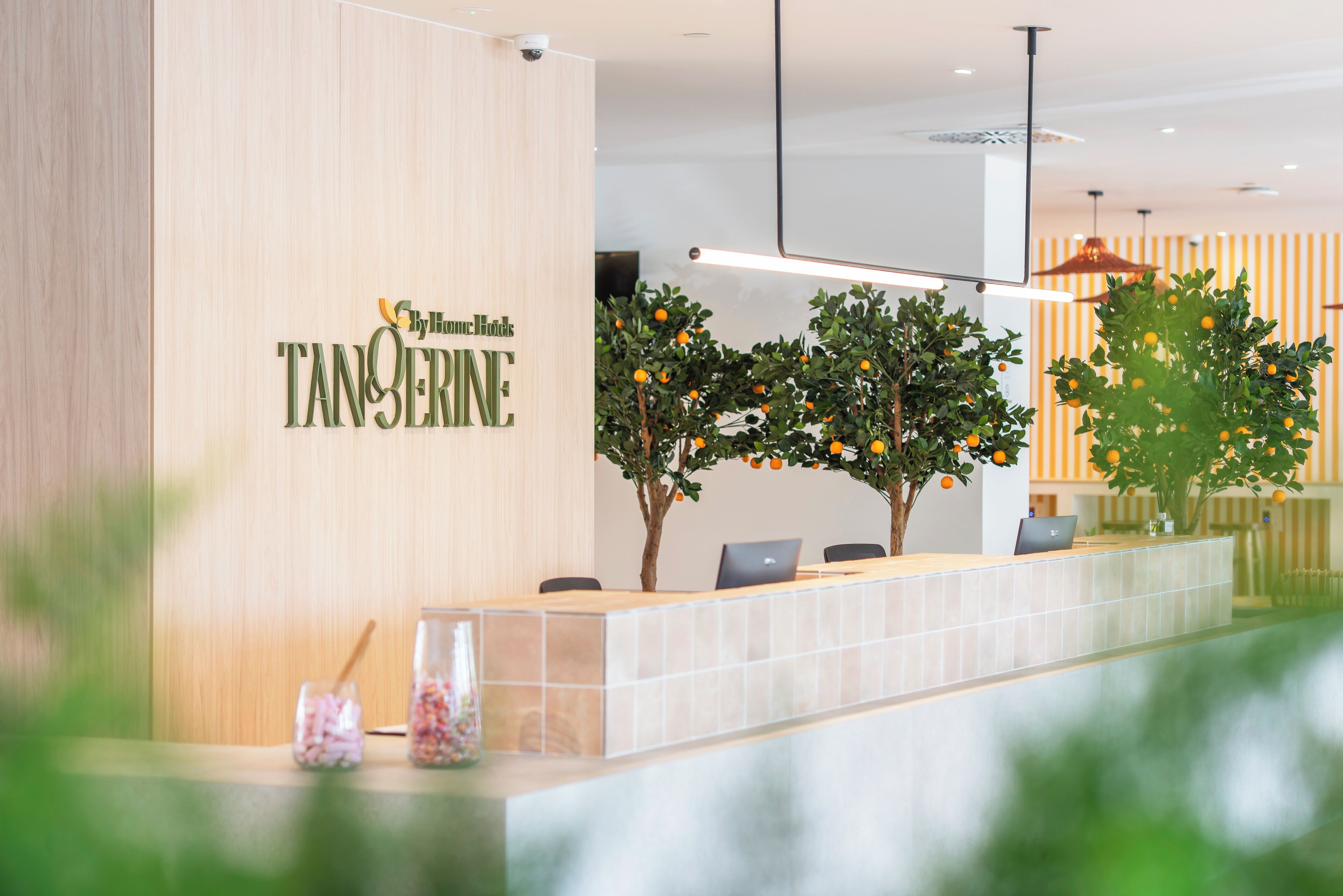Foto - Tangerine by Honne Hotels - Adults Only ¨New Opennig¨