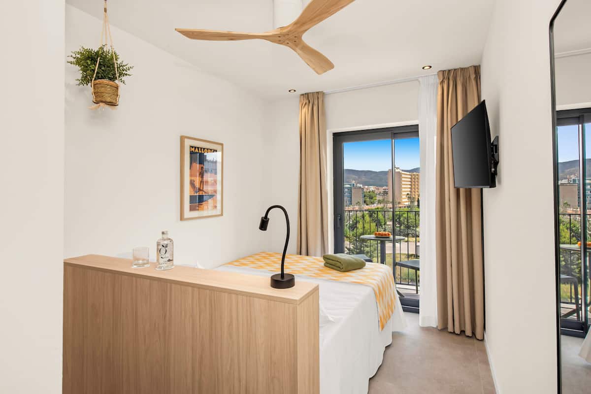 A hotel room with a bed, a desk, a ceiling fan, a TV, a window with curtains, and a plant.