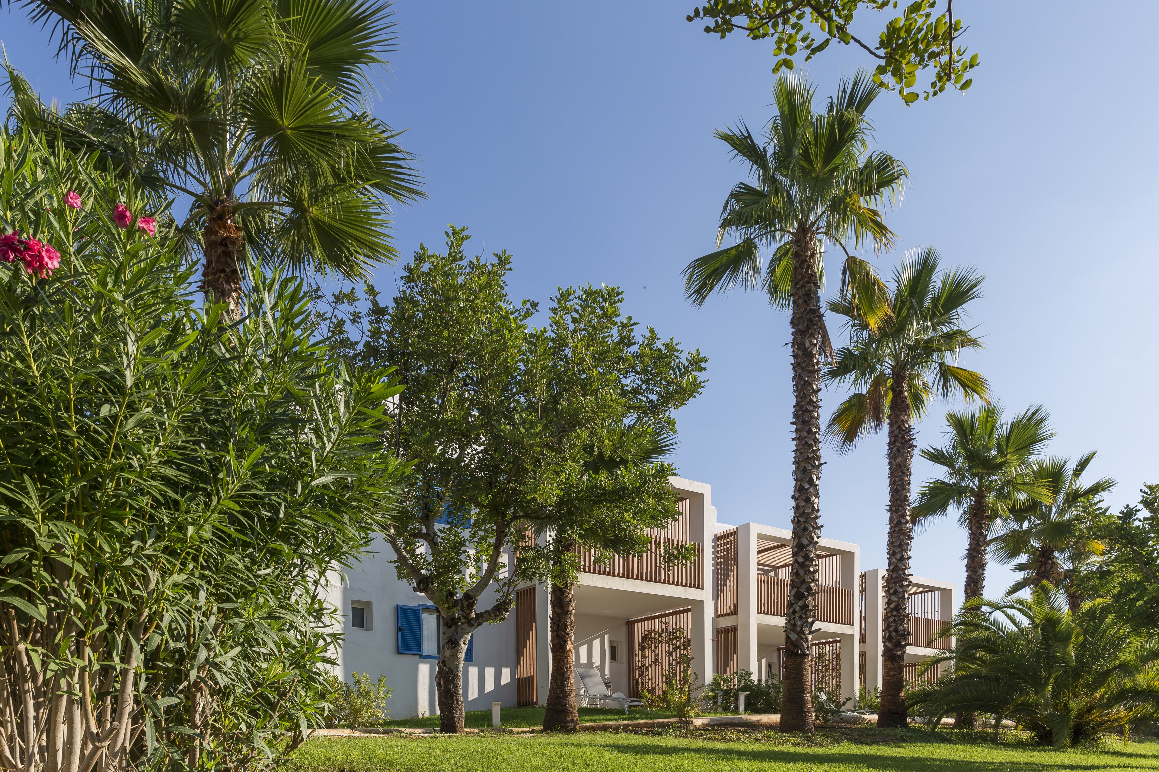 A modern building with multiple balconies, surrounded by lush greenery and palm trees.