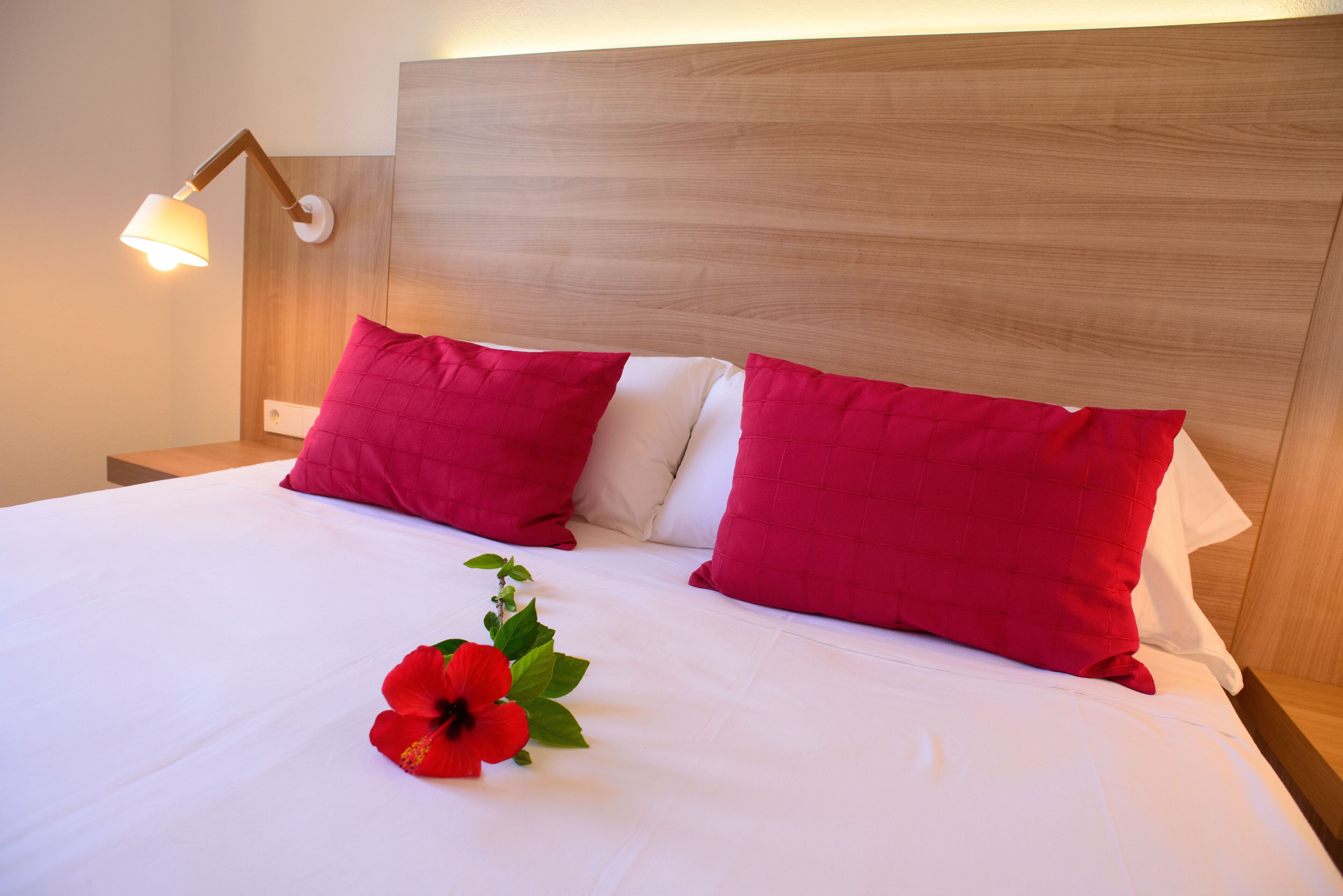 2 bedrooms, minibar, desk, blackout curtains