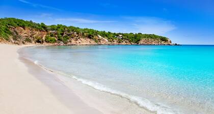 Cala Llenya Resort Ibiza - Hotel