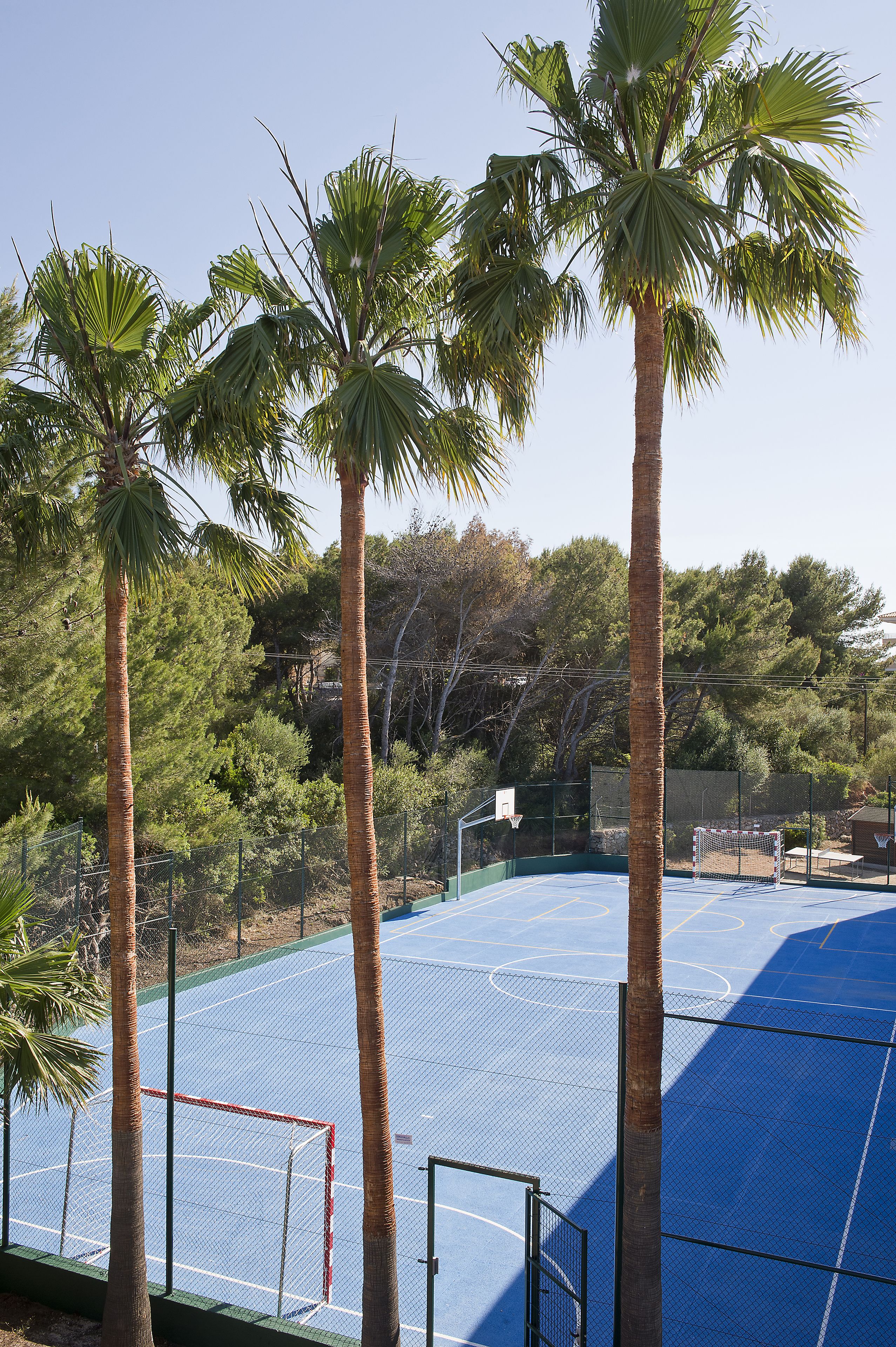 Foto - Aparhotel Pierre & Vacances Mallorca Cecilia
