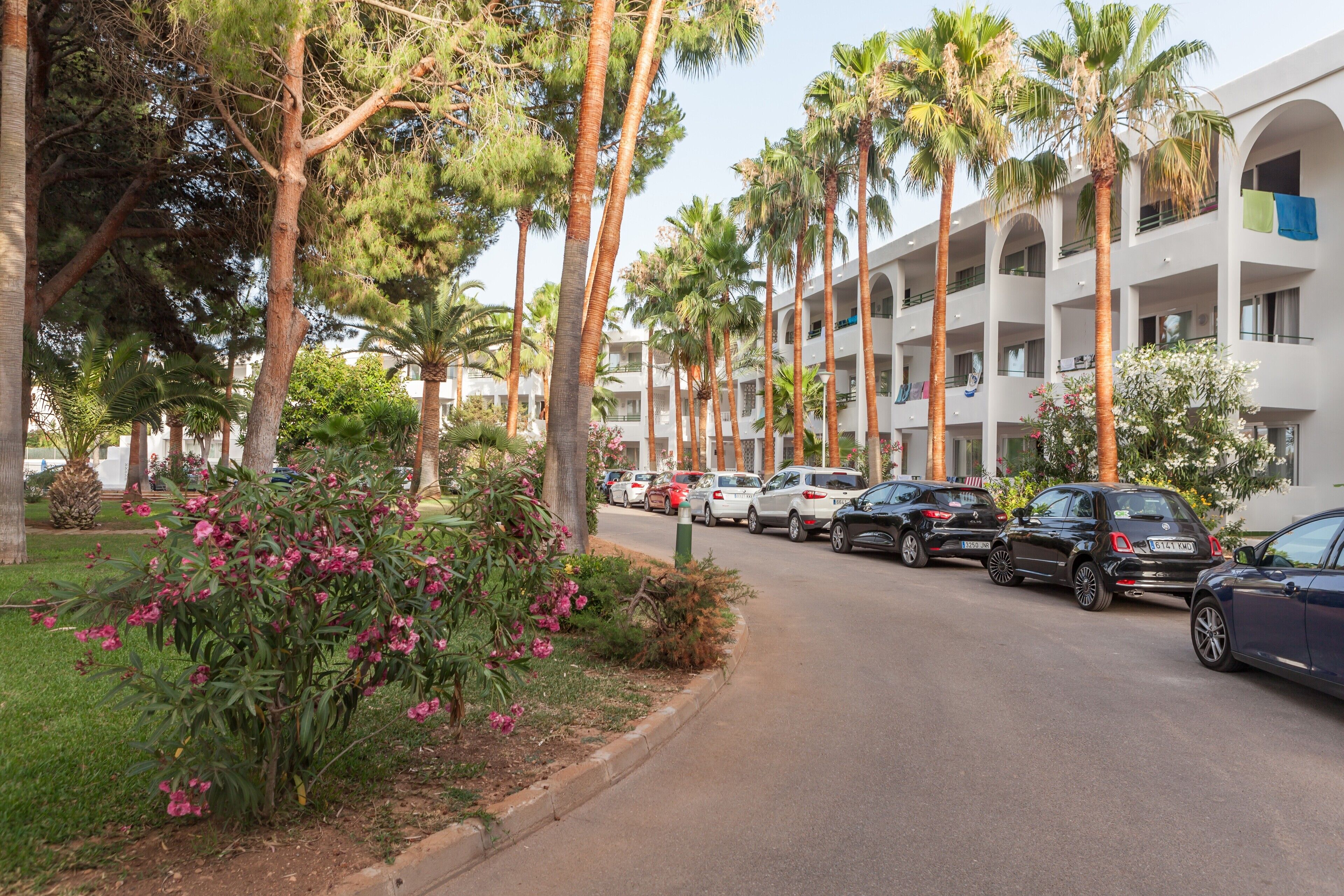 Foto - Aparhotel Pierre & Vacances Mallorca Cecilia