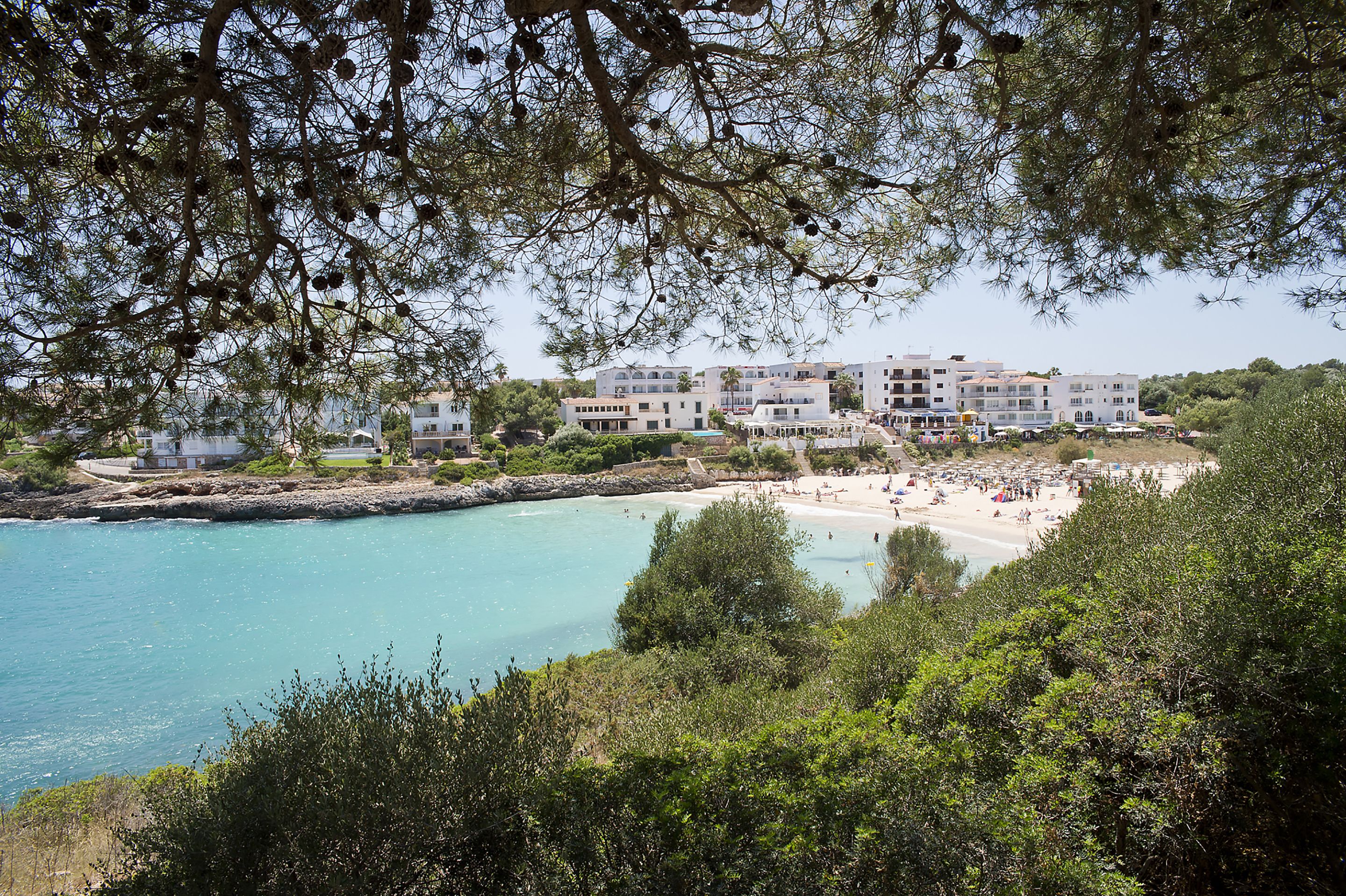 Foto - Aparhotel Pierre & Vacances Mallorca Cecilia