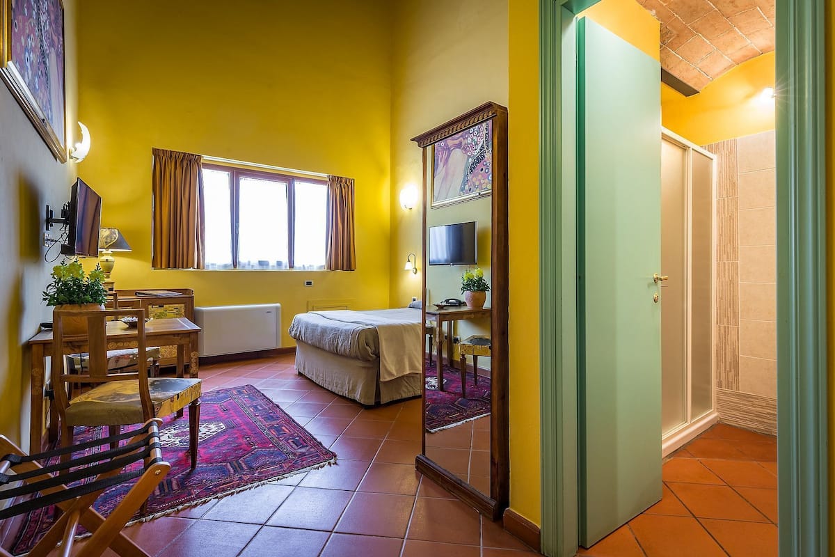 A room with a bed, a desk, a chair, a radiator, a window with curtains, a television, and a mirror.