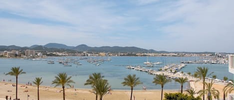 Vista costera con un puerto deportivo, playa y palmeras.