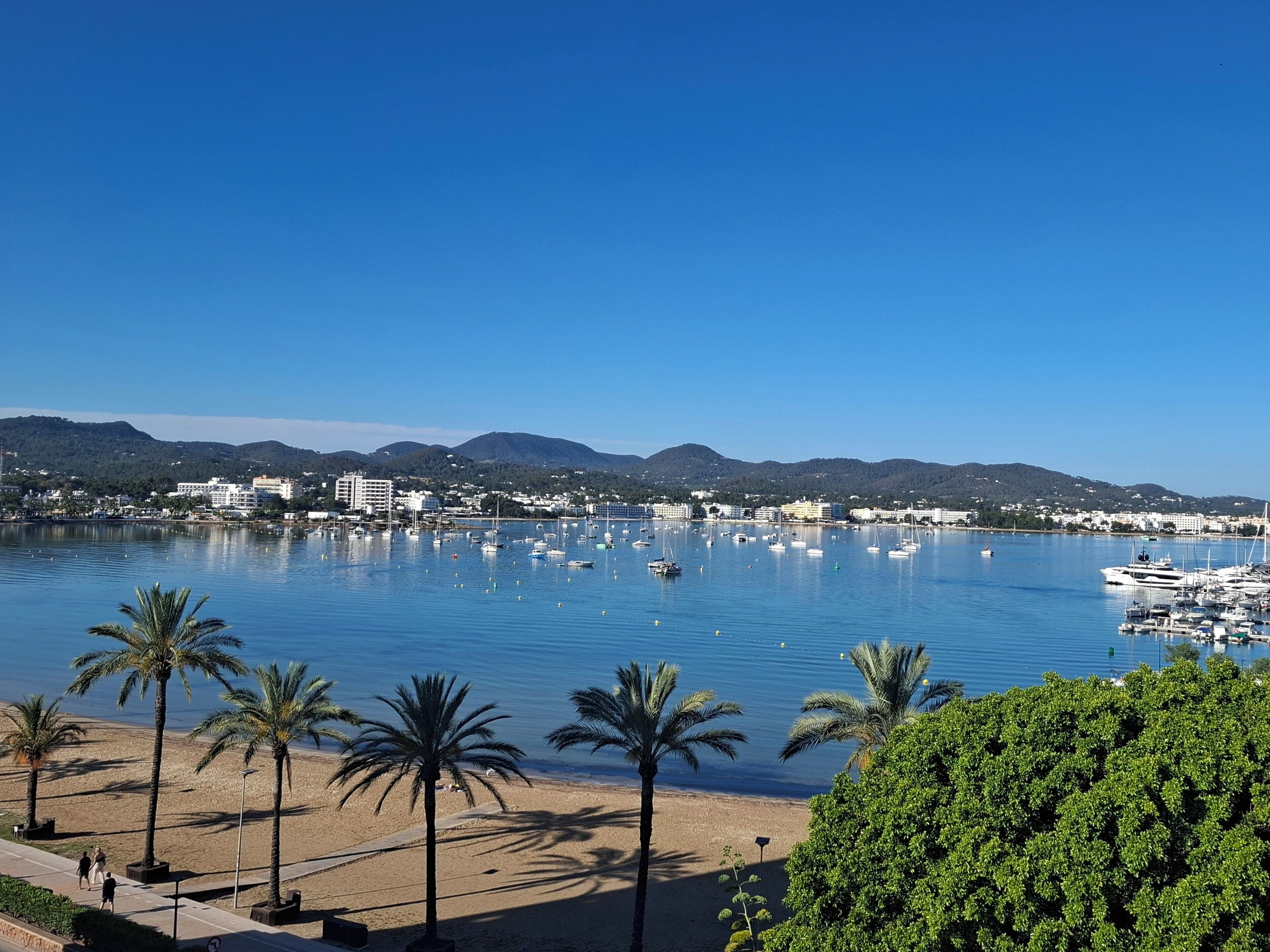 Une vue sur la côte, avec un port de plaisance, des palmiers et des bâtiments en arrière-plan.