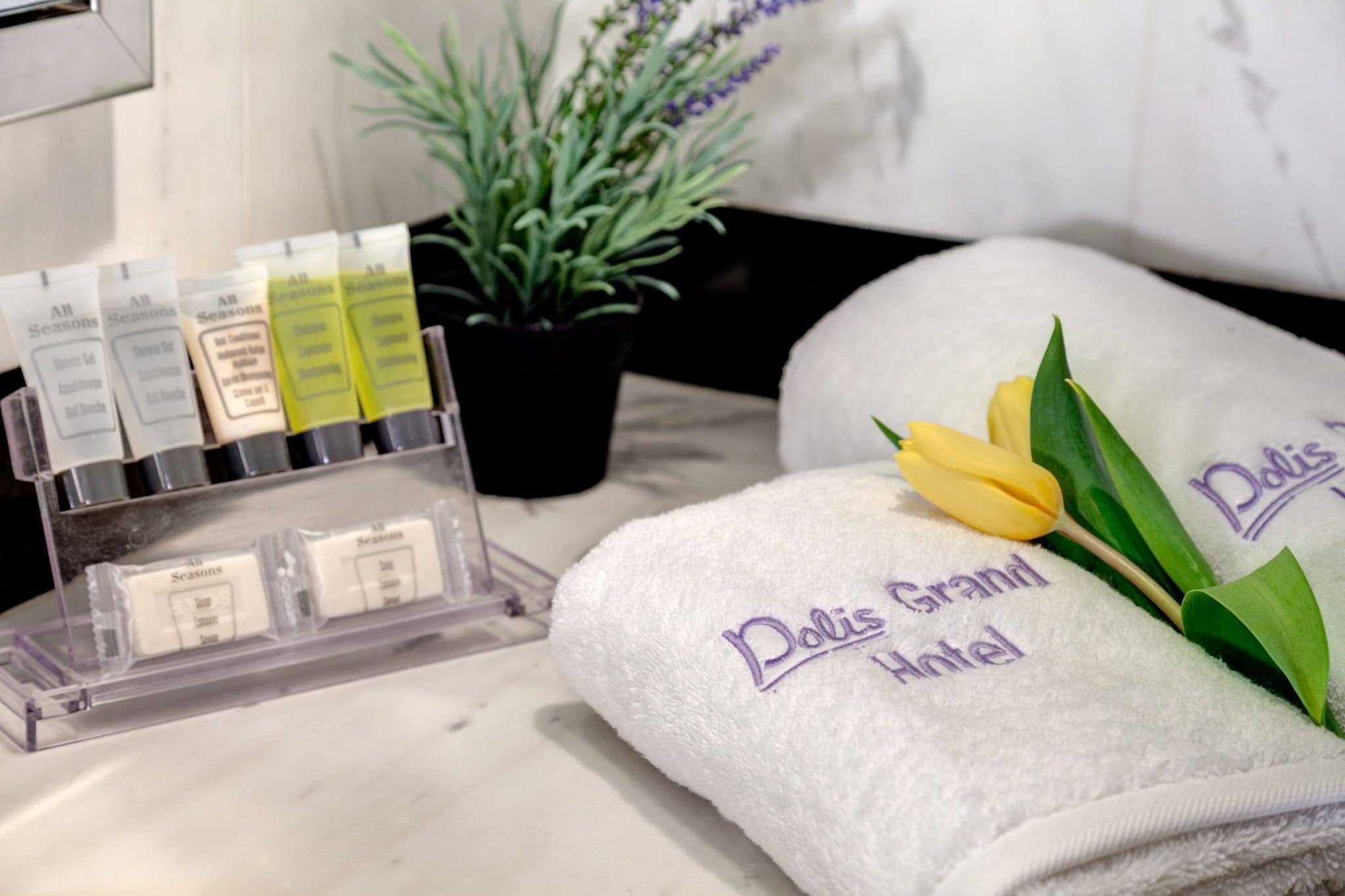 free toiletries, hair dryer, towels