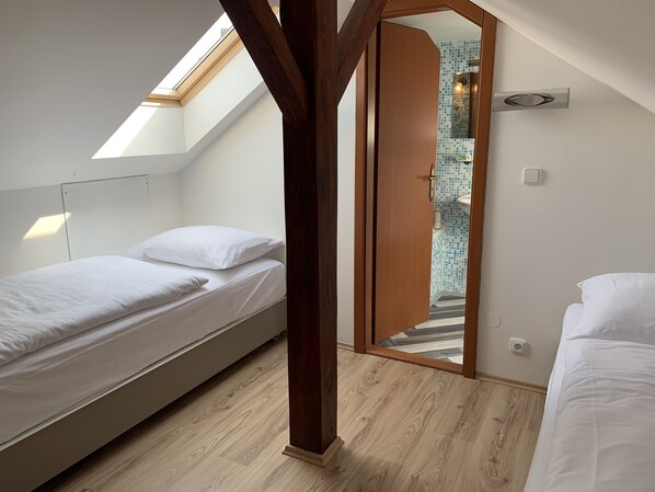 Attic Economy Room (10m2)