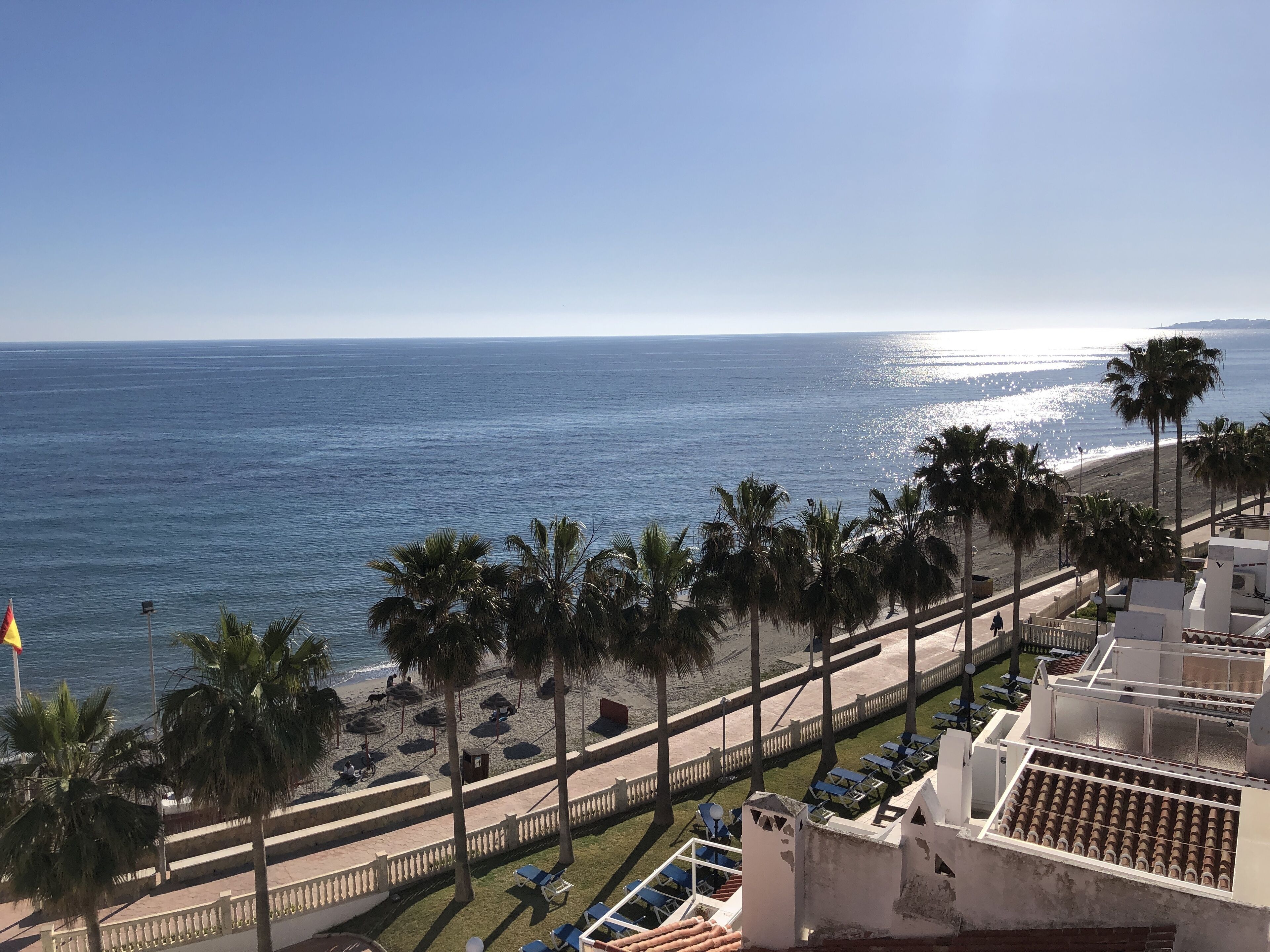 A coastal hotel with a view of the ocean, palm trees, and a beach.