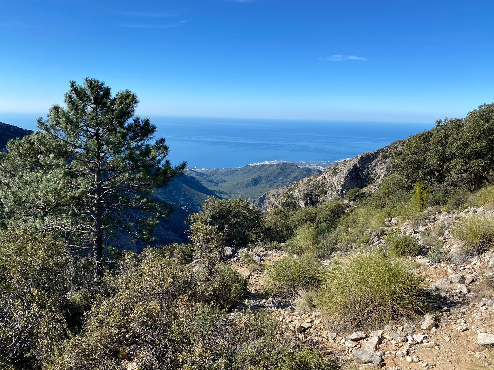 Photo - Perla Marina