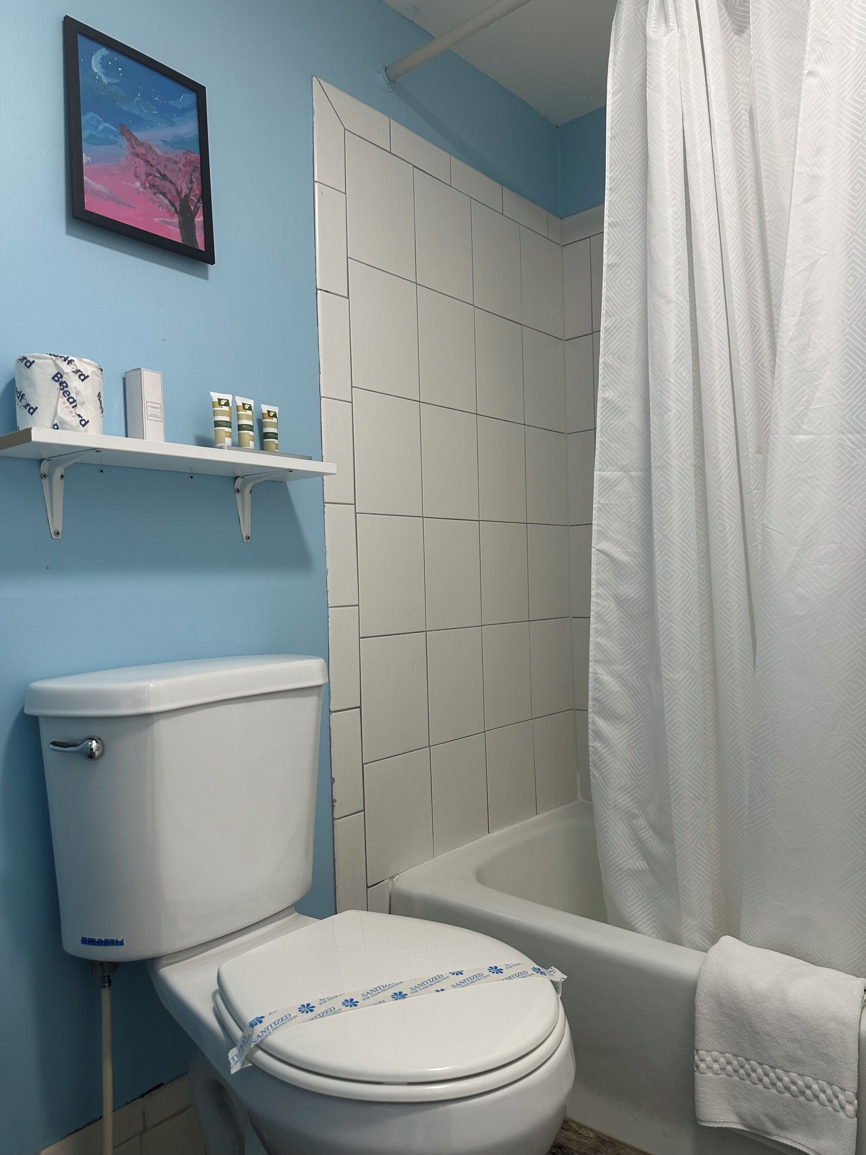 A bathroom with a toilet, a shower, and a shelf with toiletries.