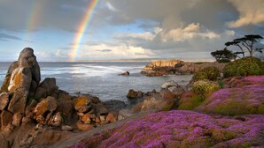 Paisatge costaner amb arc de Sant Martí, terreny rocos i flors morades.