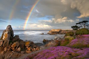 Beach nearby - Lovers Point Inn (Pacific Grove)