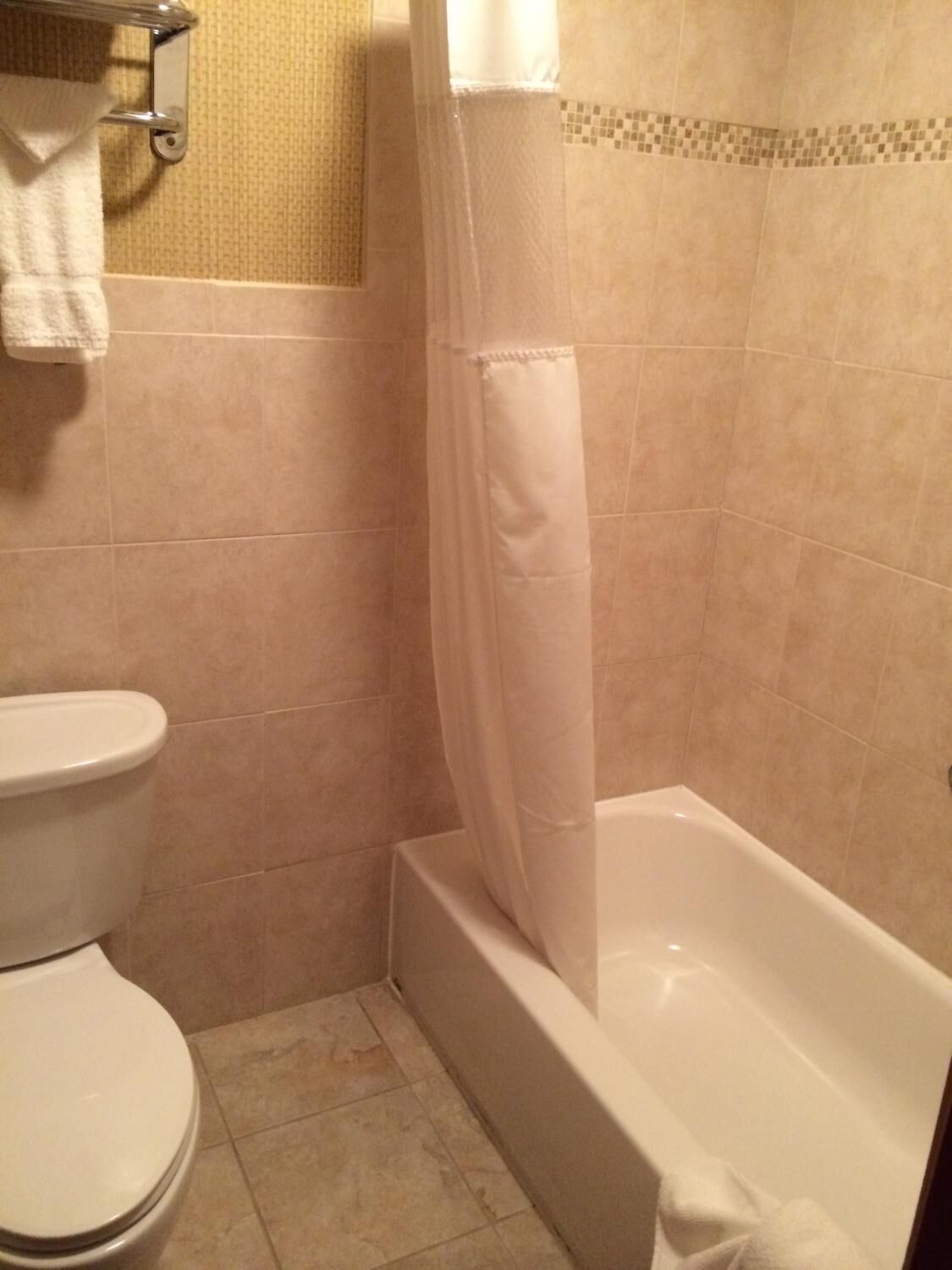 A bathroom with a toilet, a bathtub, and a shower curtain.
