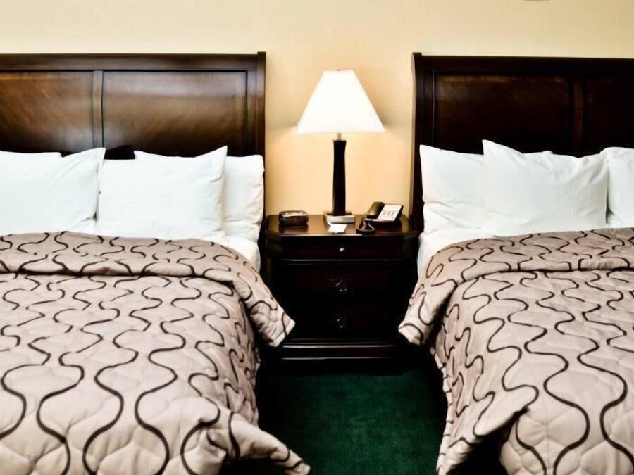 Quarto de hotel com duas camas, cada uma com colcha estampada, mesa de cabeceira com abajur e telefone.