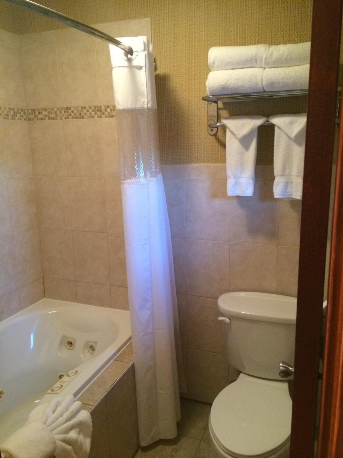A bathroom with a bathtub, toilet, and a shower curtain.