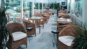 Un restaurante con sillas y mesas de mimbre, separaciones de vidrio y plantas en macetas.