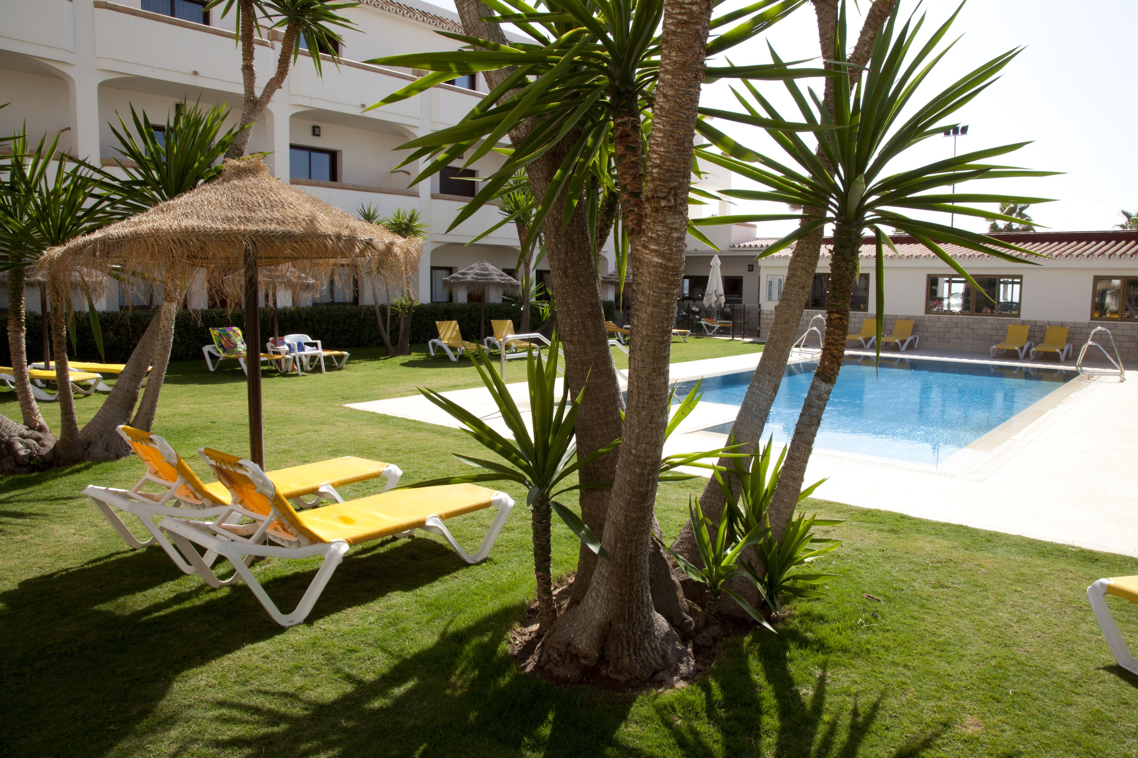 Un espace piscine avec des chaises longues et des palmiers.