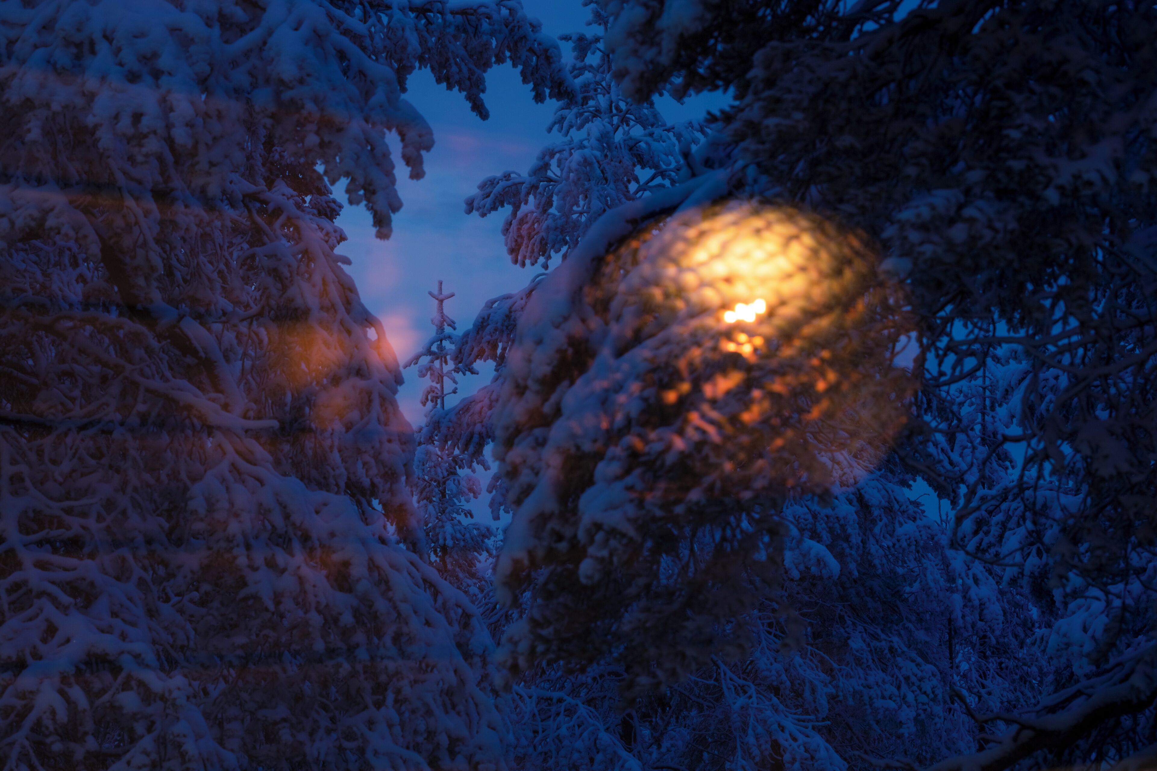 Eine verschneite Landschaft, beleuchtet von einer Straßenlaterne.