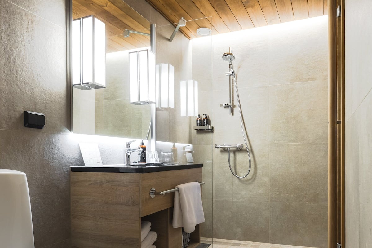 hair dryer, towels, soap, shampoo