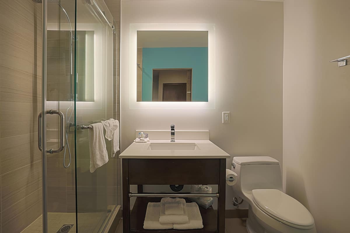 shower, rainfall showerhead, designer toiletries, hair dryer