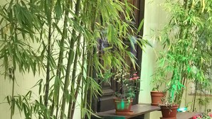Dining - Altos De Balcarce Hotel (SALTA)