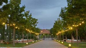 A pathway leading to a building with a red roof, flanked by trees and string lights.