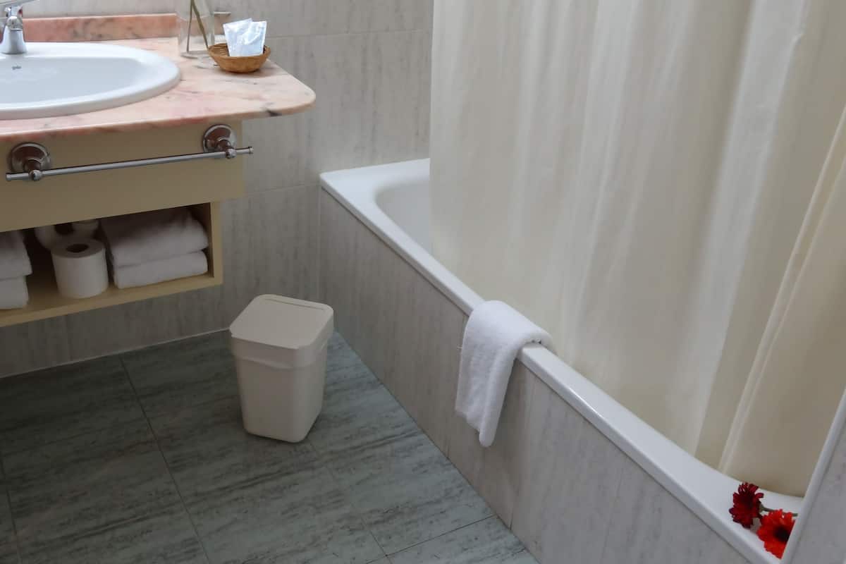 standard double room, 1 double bed | bathroom | bathtub, hair dryer, towels