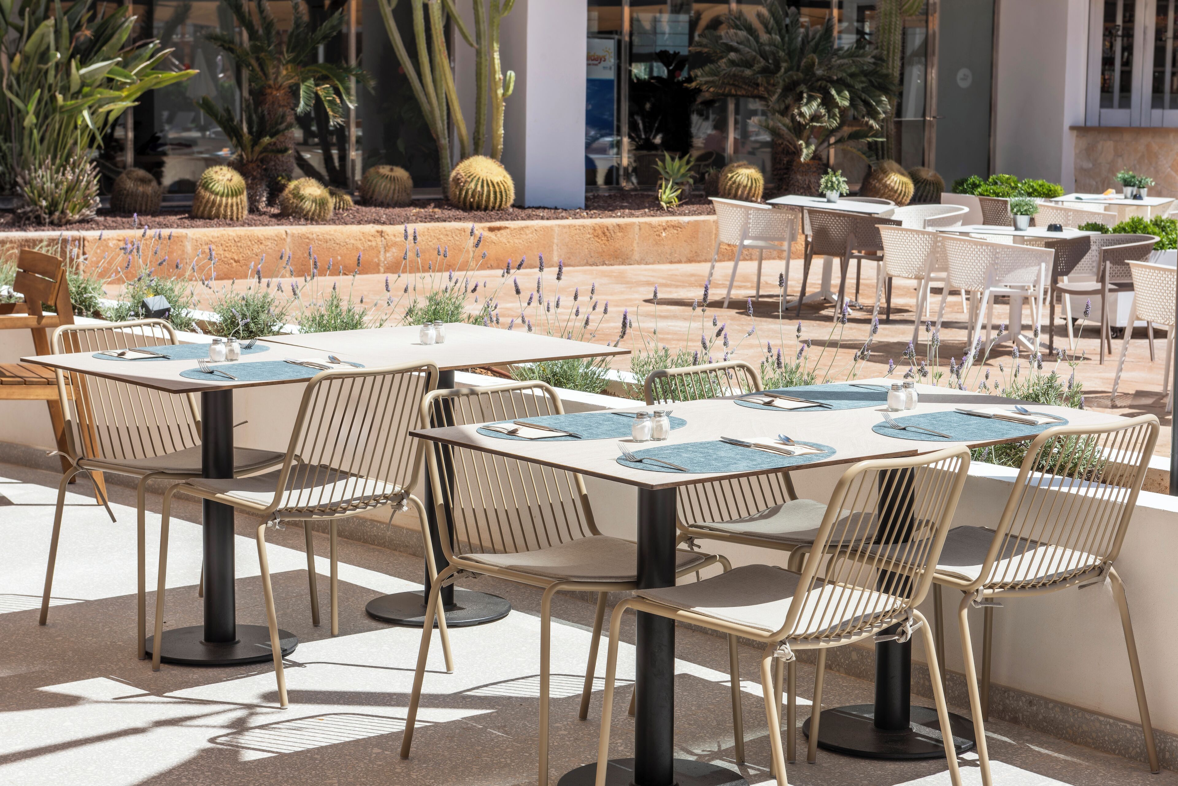 An outdoor dining area with tables and chairs, surrounded by cacti and other plants.