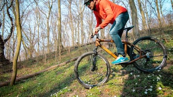 自転車