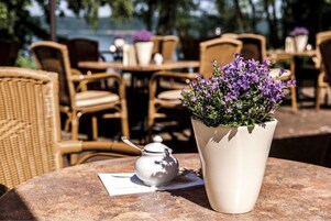 A table with a potted plant and a teapot.