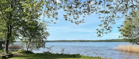 Egy tóparti park, ahol van egy pad, füves területek és fák.